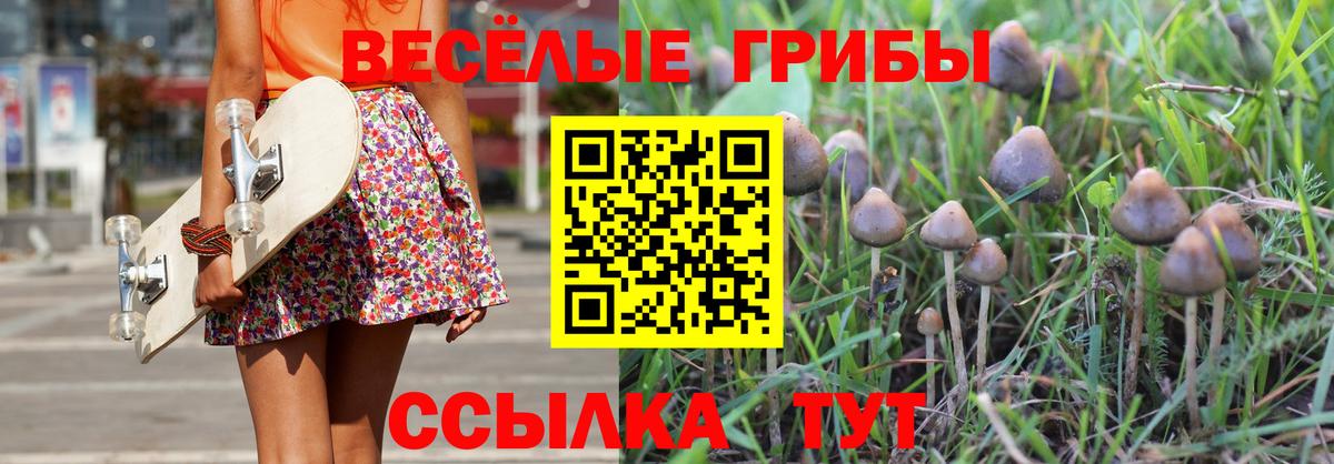 Анжеро-Судженск  Псилоцибиновые грибы Psilocybine cubensis  Галлюциногенные грибы мухоморы  Вход с VPN 