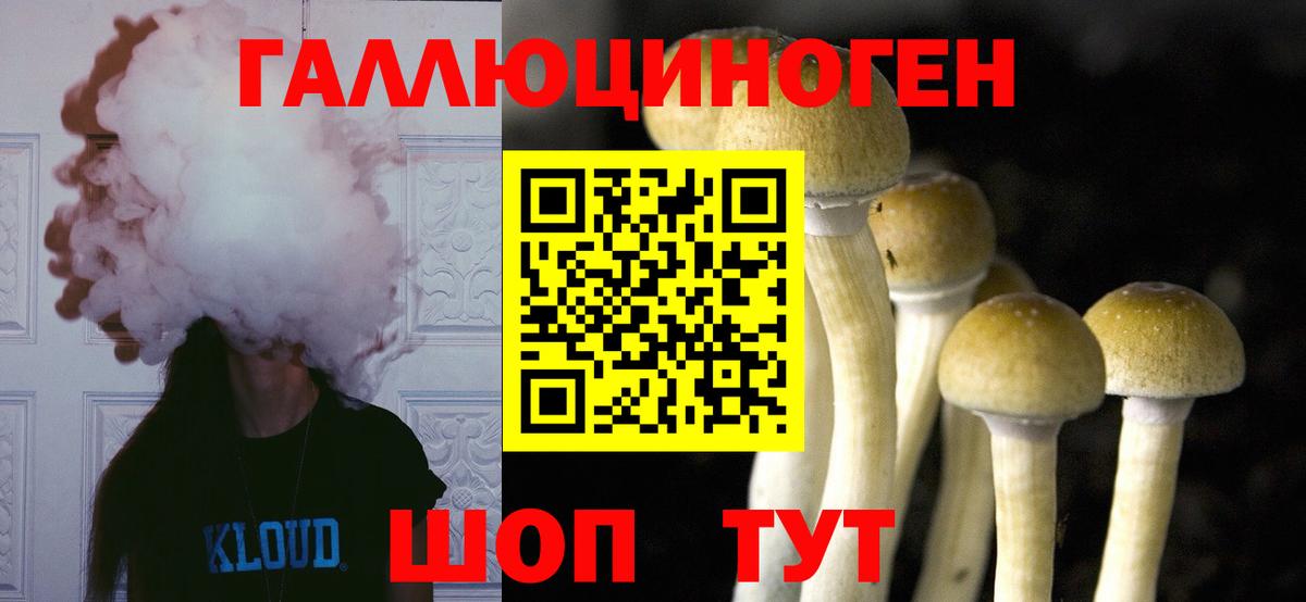 Псилоцибиновые грибы Psilocybe Анжеро-Судженск